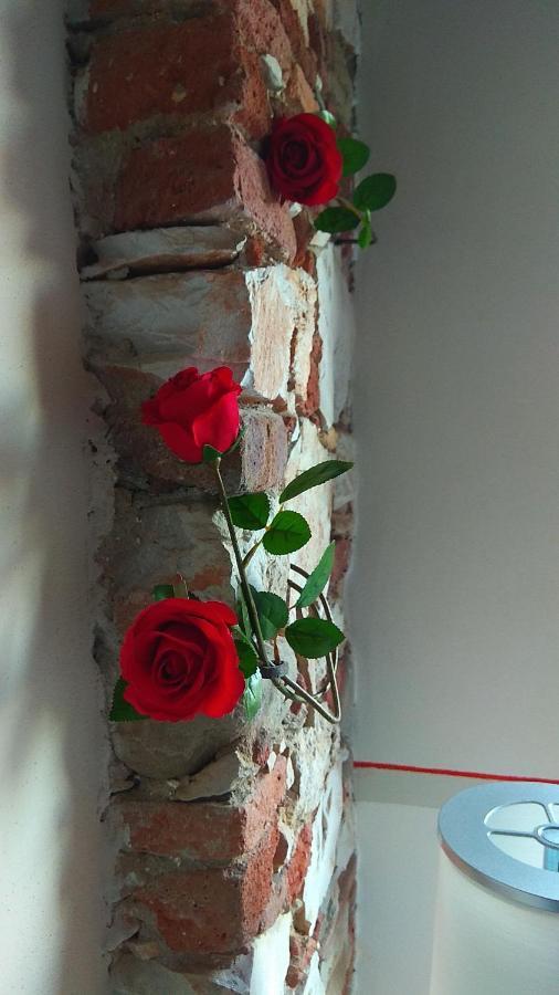 Le Rondini Di San Donato Bed & Breakfast ลุคคา ภายนอก รูปภาพ