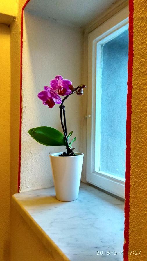 Le Rondini Di San Donato Bed & Breakfast ลุคคา ภายนอก รูปภาพ