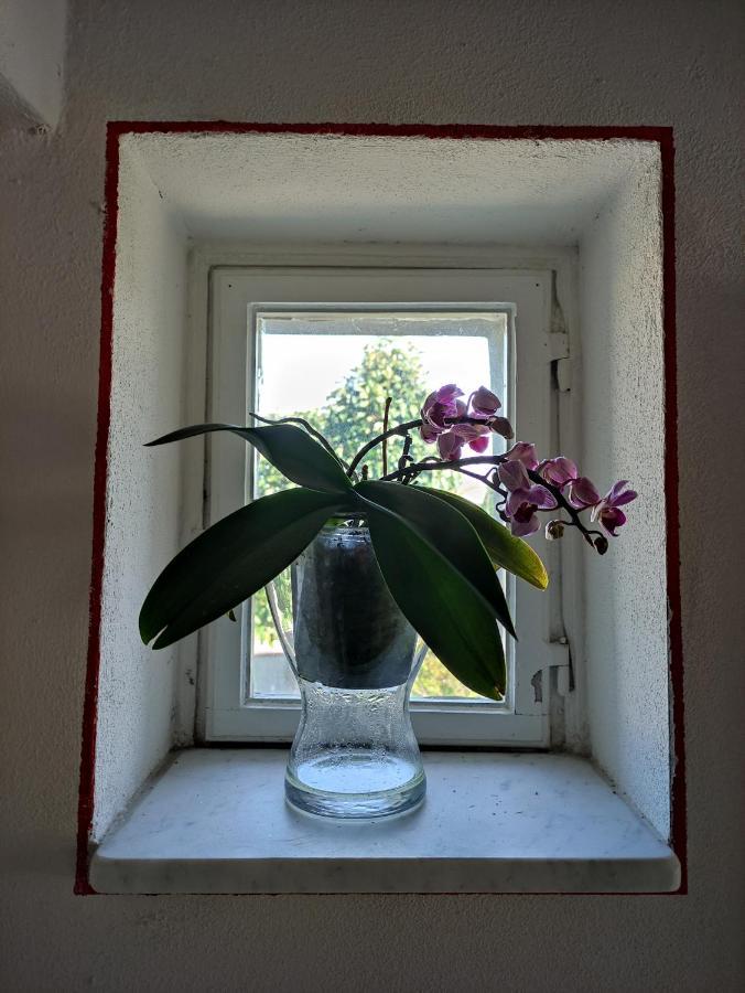Le Rondini Di San Donato Bed & Breakfast ลุคคา ภายนอก รูปภาพ