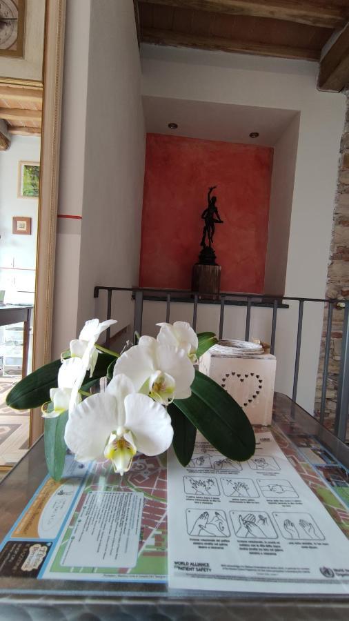 Le Rondini Di San Donato Bed & Breakfast ลุคคา ภายนอก รูปภาพ